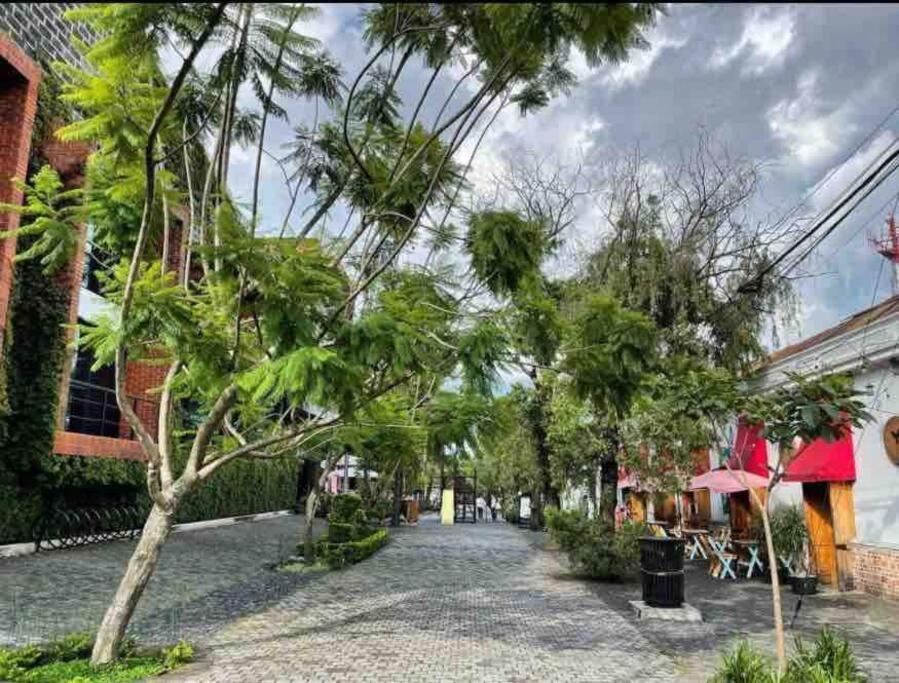 Makachi Hotel Guatemala-Stadt Exterior foto